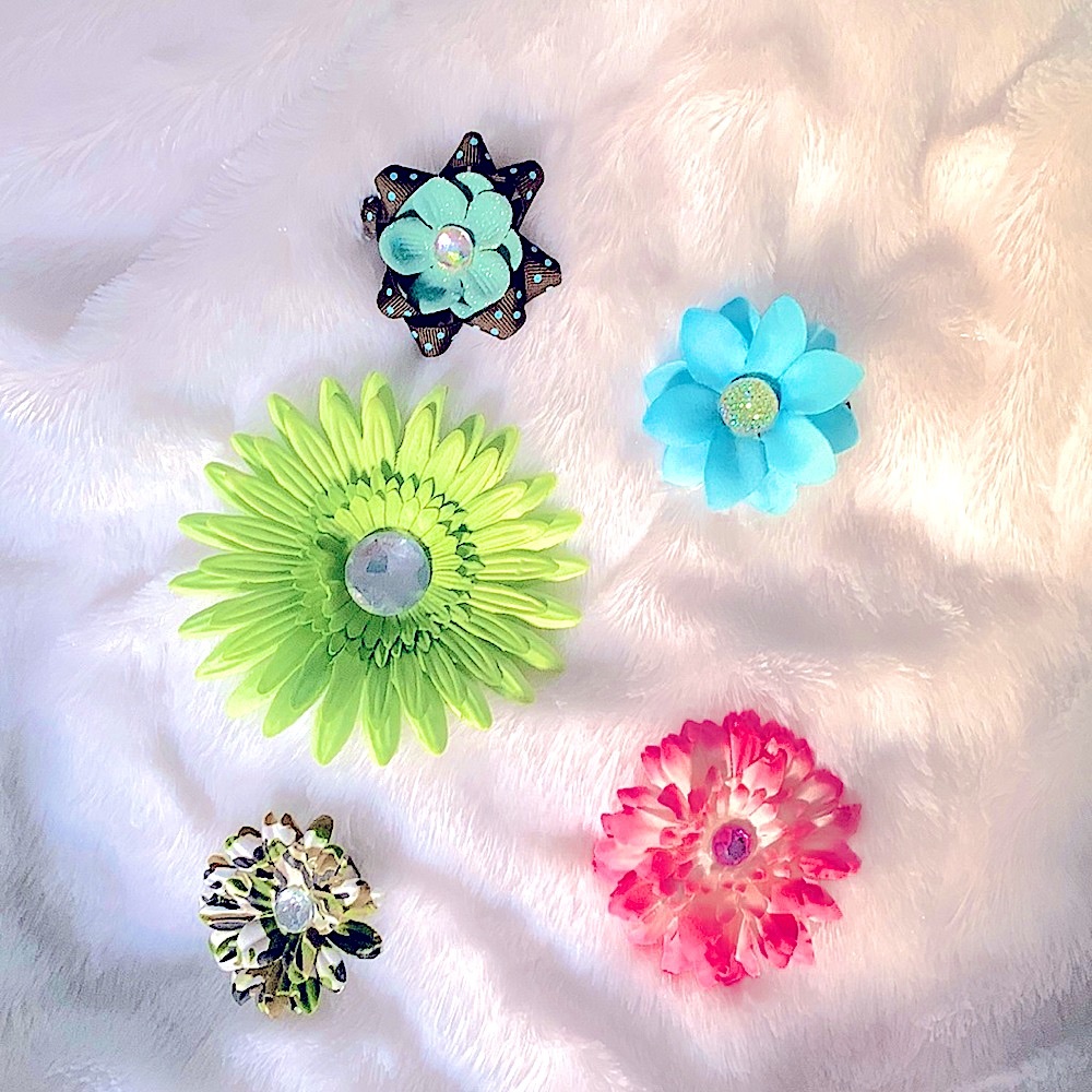 Set of 5 Flower Hair Clips